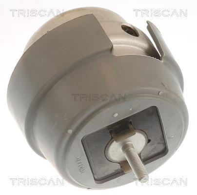 Support moteur (Silent bloc moteur) Triscan A/S 8505 29169