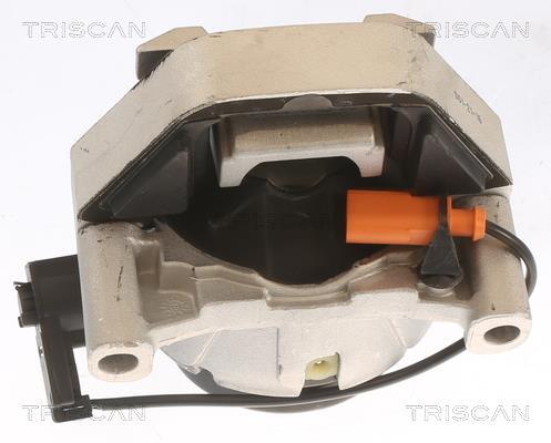 Support moteur (Silent bloc moteur) Triscan A/S ref. 8505 29170