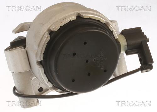 Support moteur (Silent bloc moteur) Triscan A/S ref. 8505 29170