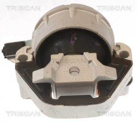 Support moteur (Silent bloc moteur) Triscan A/S 8505 29171