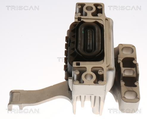 Support moteur (Silent bloc moteur) Triscan A/S 8505 29173