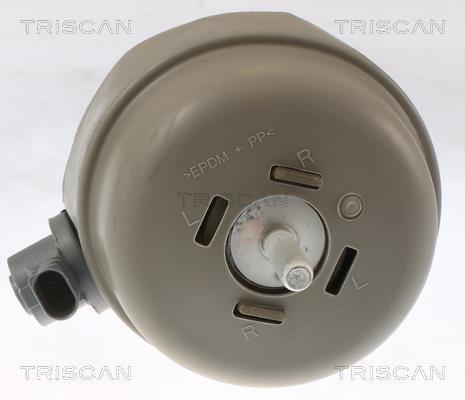 Support moteur (Silent bloc moteur) Triscan A/S 8505 29174