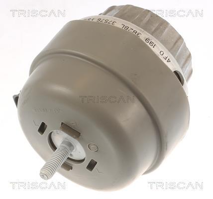 Support moteur (Silent bloc moteur) Triscan A/S 8505 29174