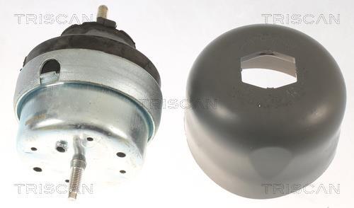 Support moteur (Silent bloc moteur) Triscan A/S 8505 29177