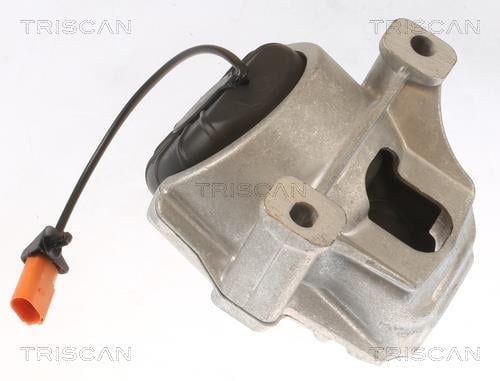 Support moteur (Silent bloc moteur) Triscan A/S ref. 8505 29178