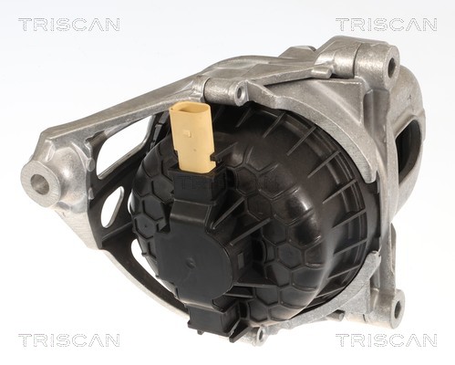 Support moteur (Silent bloc moteur) Triscan A/S 8505 29181