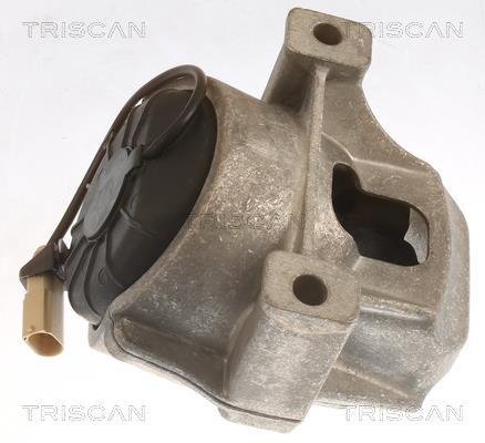 Soporte, motor Triscan A/S ref. 8505 29196