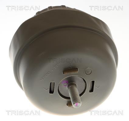 Support moteur (Silent bloc moteur) Triscan A/S 8505 29197