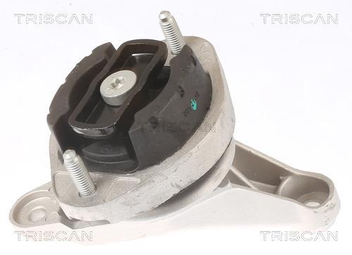 Soporte elástico de caja de cambios Triscan A/S ref. 8505 29200