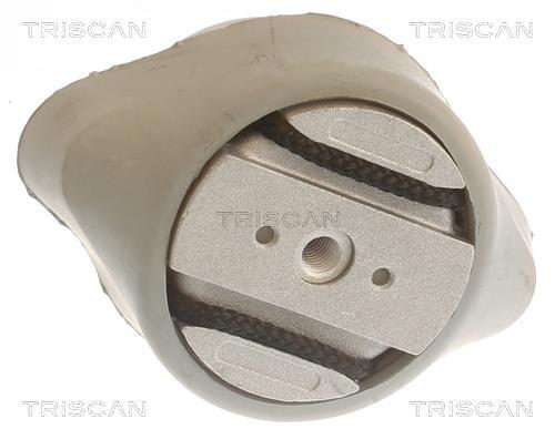 Suspension, boîte automatique Triscan A/S ref. 8505 29201