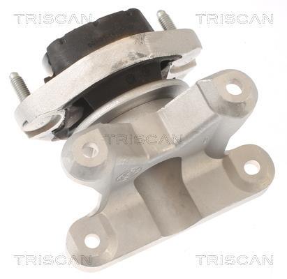 Suspension, boîte automatique Triscan A/S ref. 8505 29202