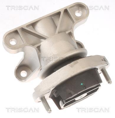 Suspension, boîte automatique Triscan A/S ref. 8505 29202