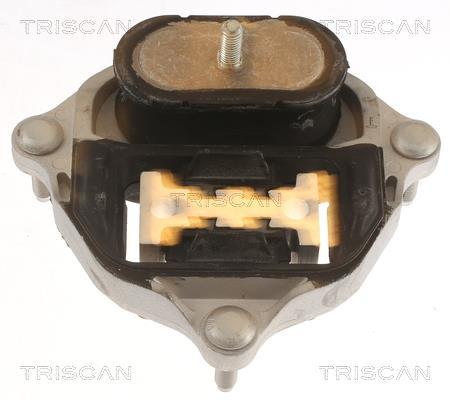 Suspension, boîte automatique Triscan A/S ref. 8505 29216