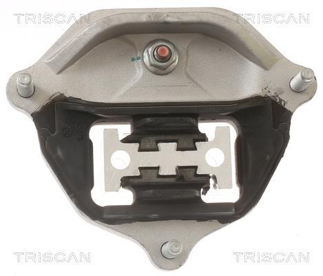 Suspension, boîte automatique Triscan A/S ref. 8505 29218