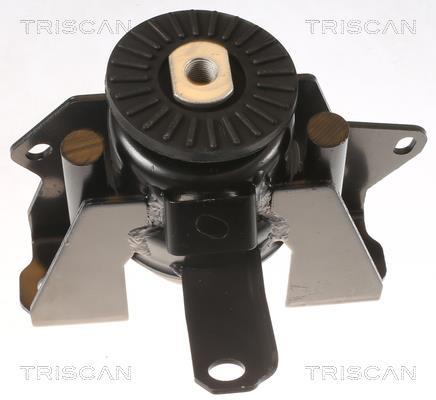 Support moteur (Silent bloc moteur) Triscan A/S 8505 42101