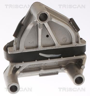 Support moteur (Silent bloc moteur) Triscan A/S 8505 65100