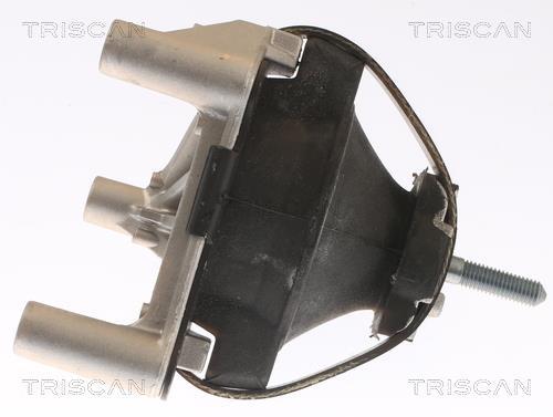 Support moteur (Silent bloc moteur) Triscan A/S 8505 65100