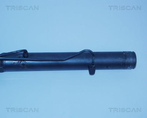 Cremalheira da caixa de direção Triscan A/S ref. 8510 13410