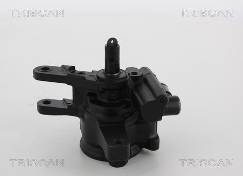 Bomba de direção assistida Triscan A/S ref. 8515 13611