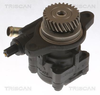 Pompe de direction assistée (Servo direction) Triscan A/S ref. 8515 13628