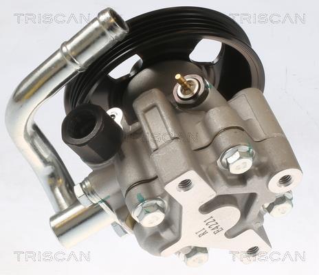 Bomba de direção assistida Triscan A/S ref. 8515 21606