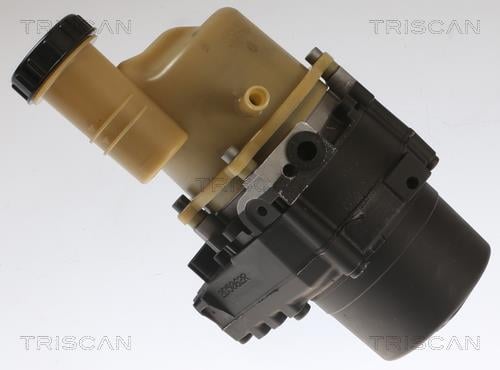 Bomba de direção assistida Triscan A/S ref. 8515 25651