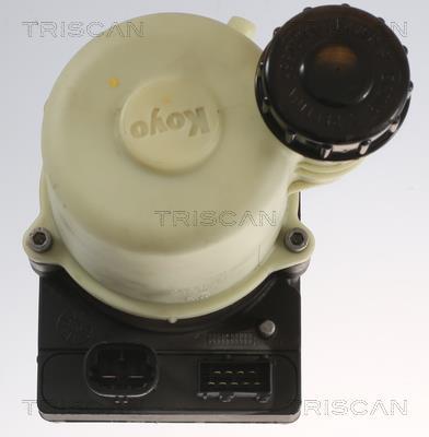 Bomba de direção assistida Triscan A/S ref. 8515 25654