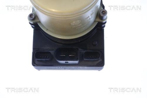 Bomba de direção assistida Triscan A/S ref. 8515 29684