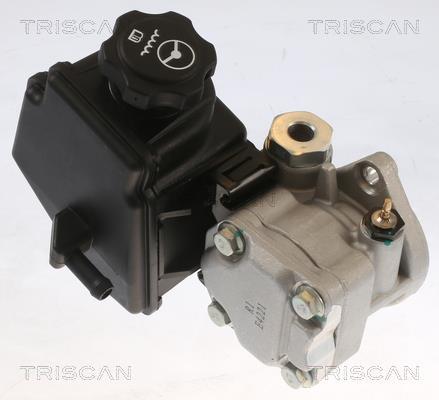 Bomba de direção assistida Triscan A/S ref. 8515 65615