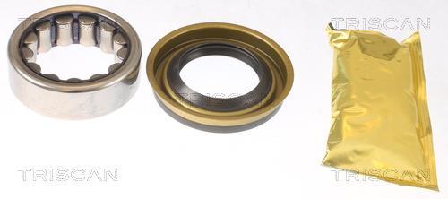 Roulement de roue Triscan A/S 8530 102002