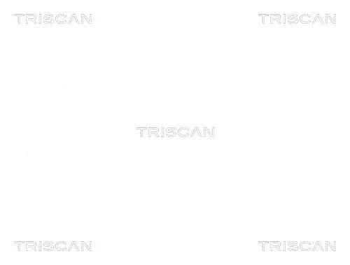 Roulement de roue Triscan A/S ref. 8530 11104