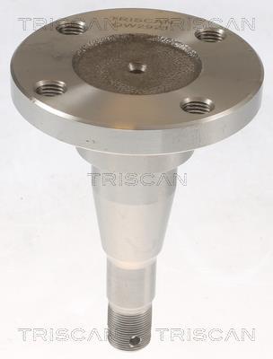 Moyeu de roue (Roulement de roue) Triscan A/S 8535 24000