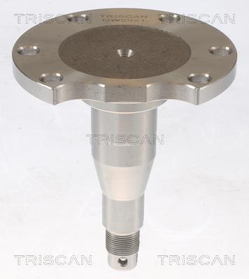 Moyeu de roue (Roulement de roue) Triscan A/S ref. 8535 29010