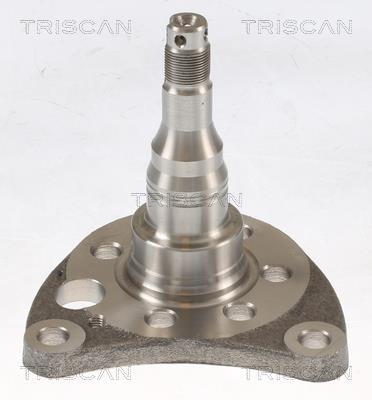 Cubo de roda Triscan A/S ref. 8535 29012