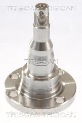 Moyeu de roue (Roulement de roue) Triscan A/S ref. 8535 29021