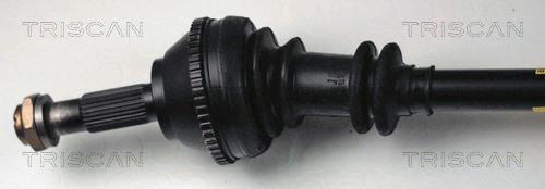 Cardan Triscan A/S ref. 8540 10509