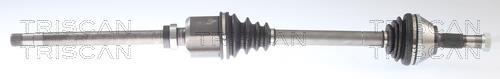 Cardan Triscan A/S ref. 8540 10513