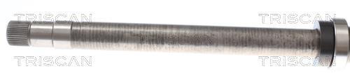 Cardan Triscan A/S ref. 8540 10513