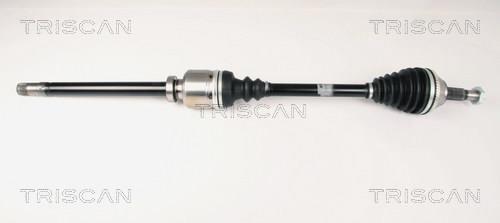 Cardan Triscan A/S ref. 8540 10519