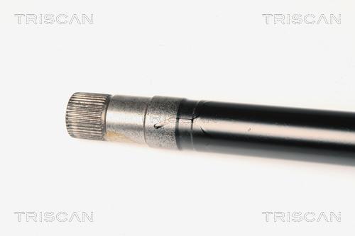 Cardan Triscan A/S ref. 8540 10519