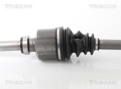 Cardan Triscan A/S ref. 8540 10523