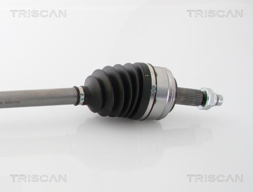 Cardan Triscan A/S ref. 8540 10525