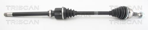 Cardan Triscan A/S ref. 8540 10529