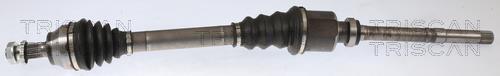Cardan Triscan A/S ref. 8540 10534