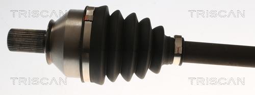 Cardan Triscan A/S ref. 8540 10538