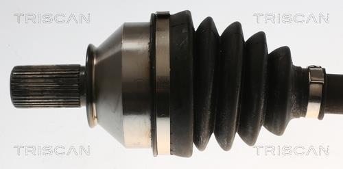 Cardan Triscan A/S ref. 8540 10551