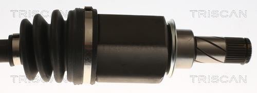 Cardan Triscan A/S ref. 8540 10551