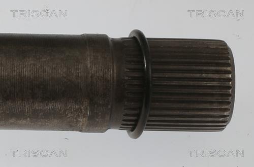 Cardã Triscan A/S 8540 10558