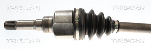 Cardan Triscan A/S 8540 10564