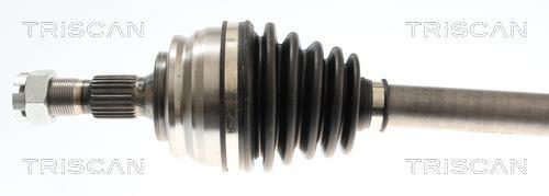 Cardan Triscan A/S 8540 10565